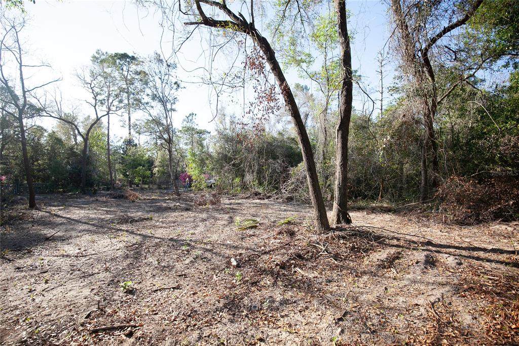 48032 1ST Street - Photo 1