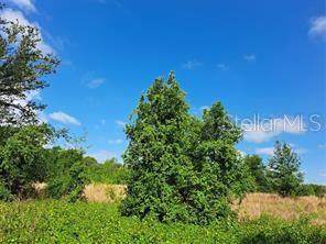  Coffee Creek Lane - Photo 1