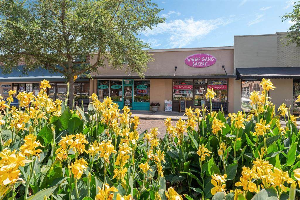 18 & 20 Plant Street - Photo 1