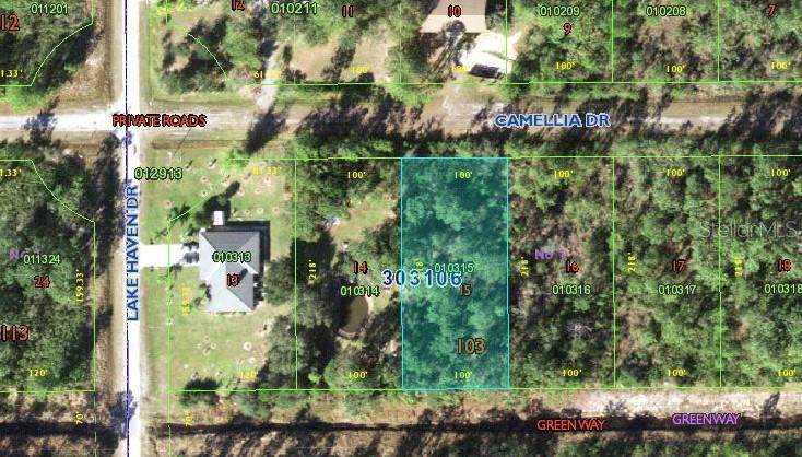 519 Camellia Dr - Photo 1