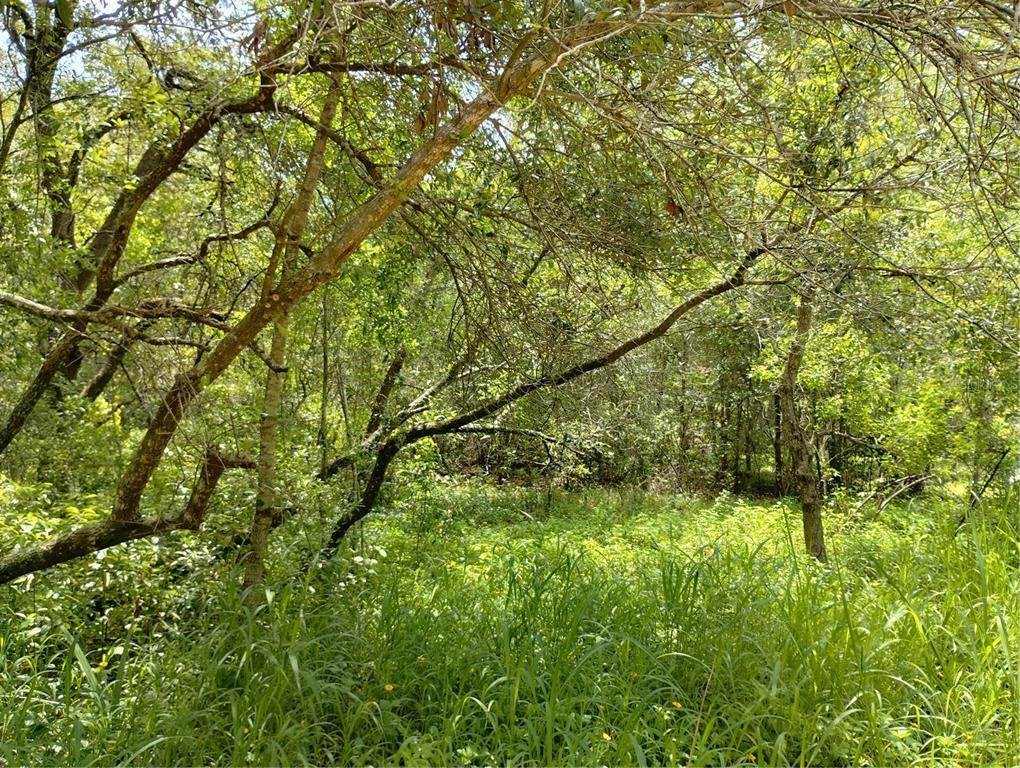  Dogwood Way - Photo 1