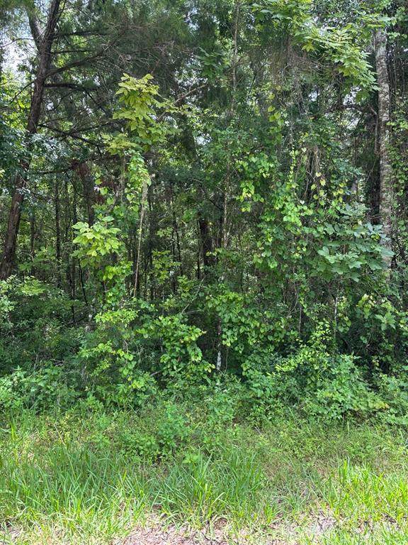  Sw 49 Court Court - Photo 1