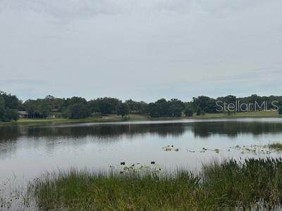 41827 Emeralda Island Road - Photo 1