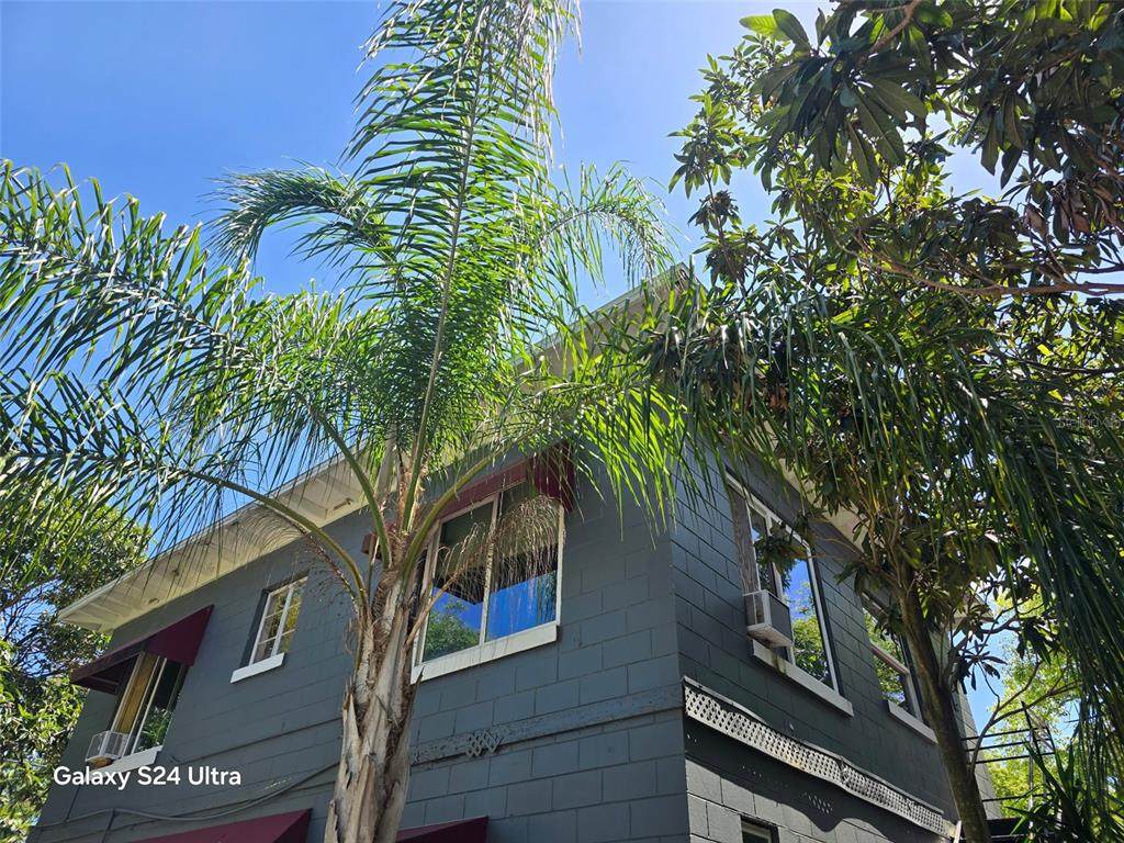 7306 Earlwood Avenue - Photo 1