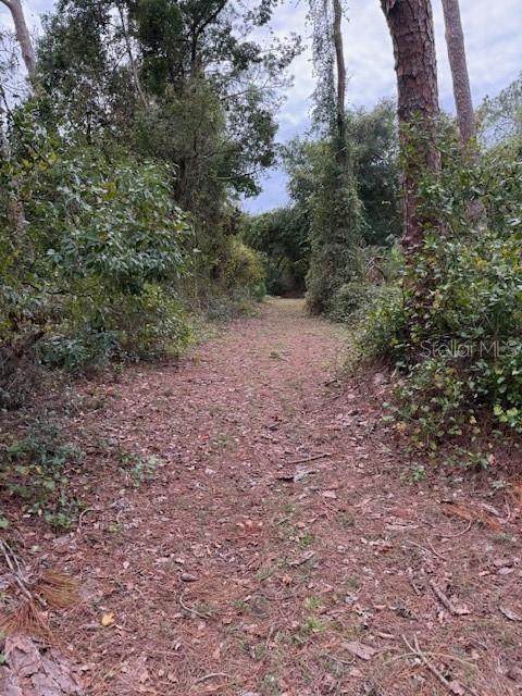 15518 State Road 19 - Photo 1