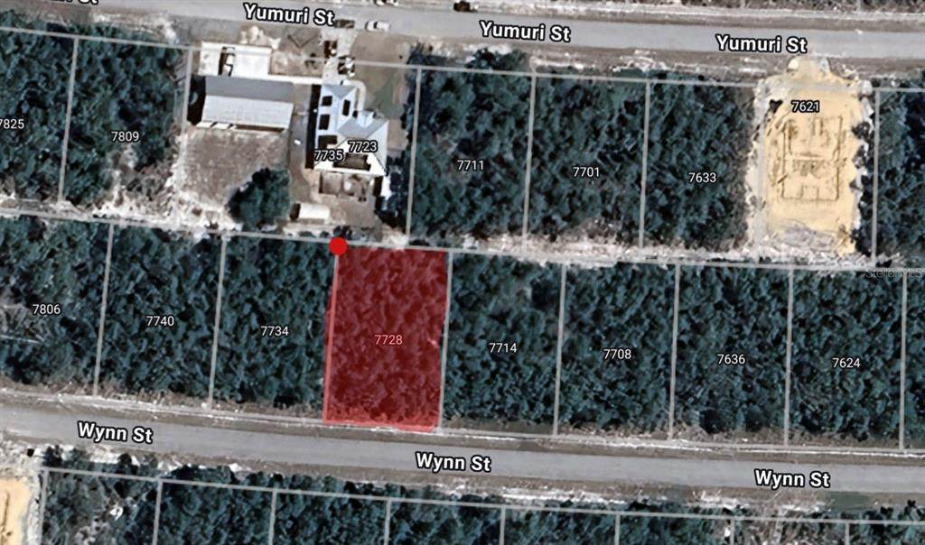 7728 Wynn Street - Photo 1