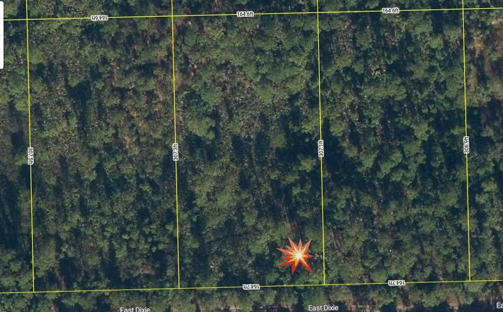 143 Dixie Street - Photo 1