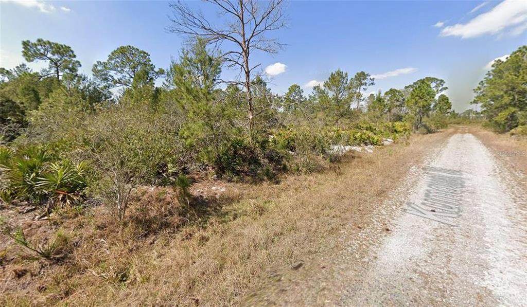 1256 Kumquat Street - Photo 1