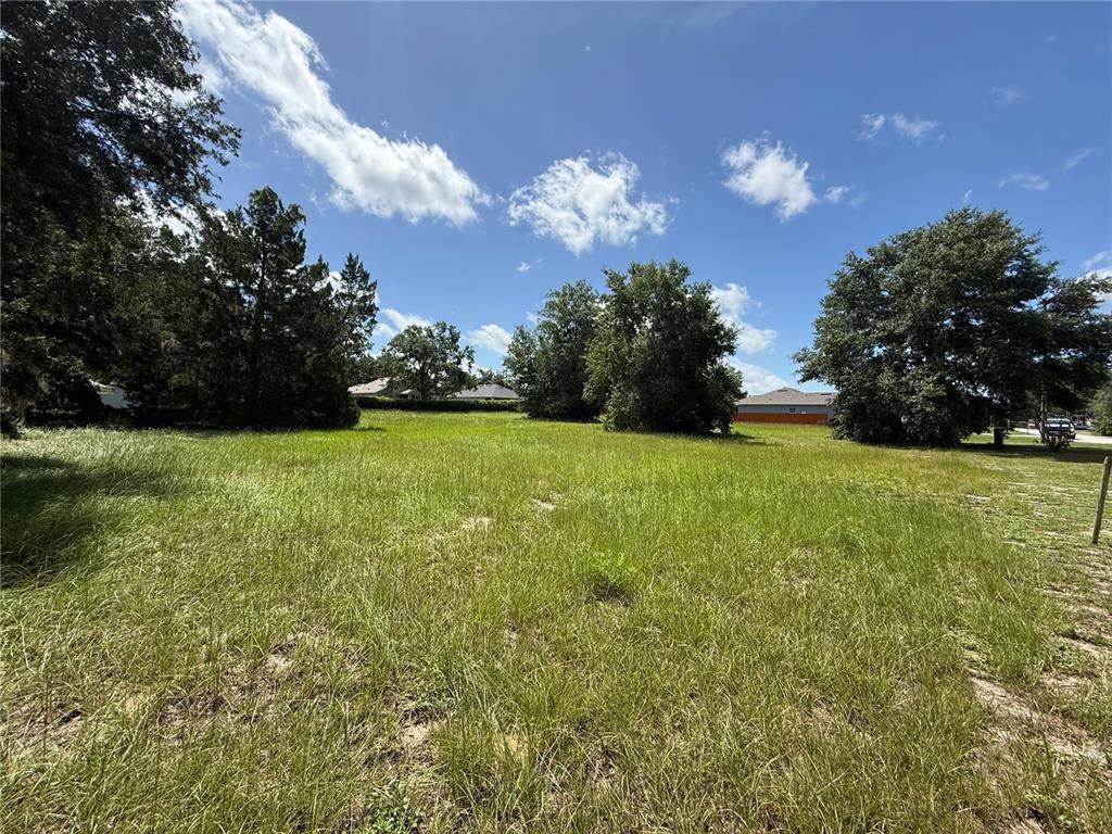**TBD** Tarpon Avenue - Photo 1