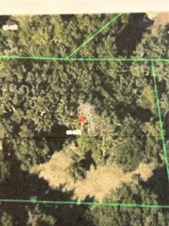 6641 Pope Road - Photo 1