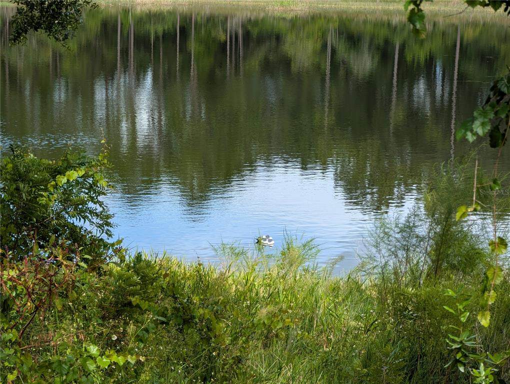 https://bt-photos.global.ssl.fastly.net/mfr/orig_boomver_1_G5101702-2.jpg