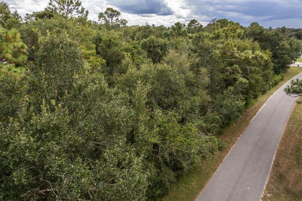  Interlachen Drive - Photo 1