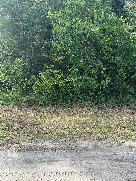 PT LTS 120-122 LK EU Herrick Avenue - Photo 1