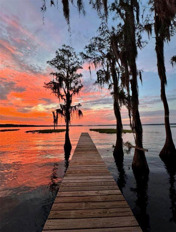 11323 Cypress Drive - Photo 1