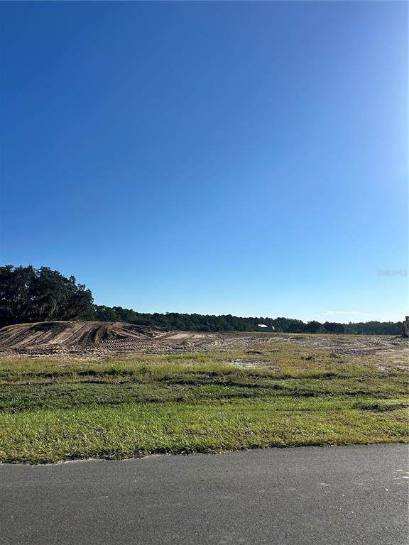 38404 Wooded Meadow Drive - Photo 1