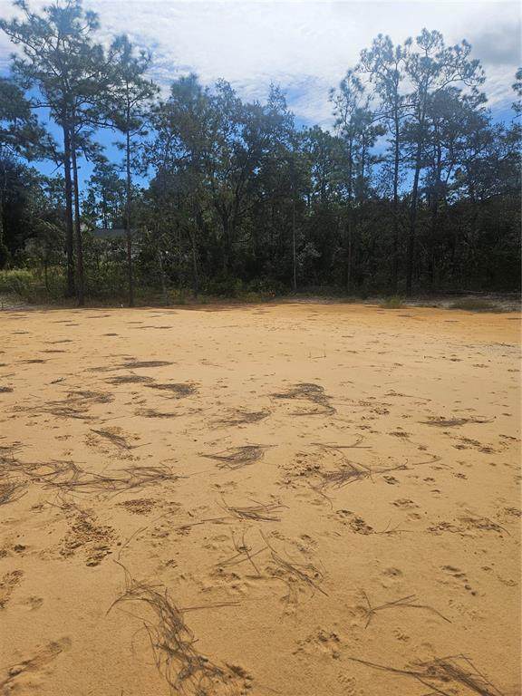 33216 Teakwood Drive - Photo 1