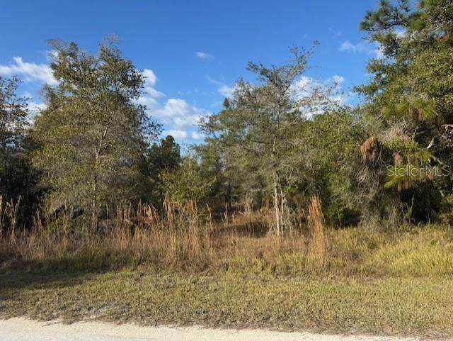 35367 Kramer Street - Photo 1