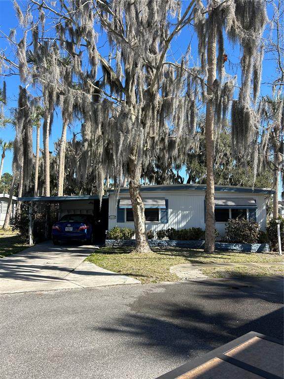 40 Sabal Palm Circle - Photo 1