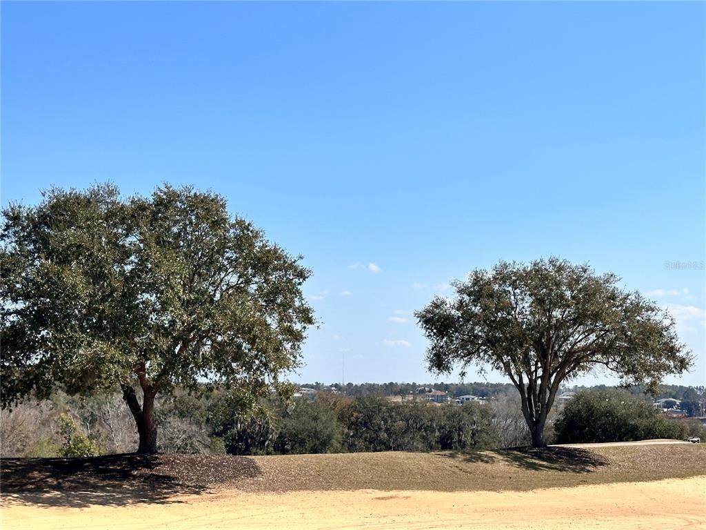 16822 Artimino Loop - Photo 1