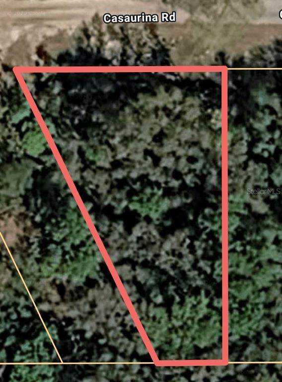  Casaurina Road - Photo 1