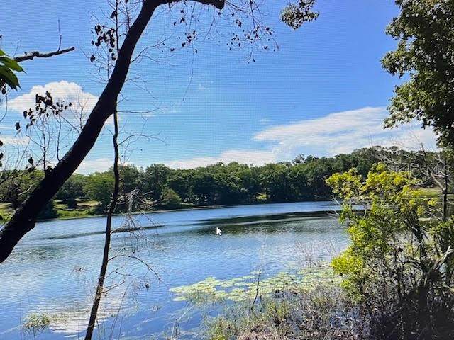 2&3 Spring Lake Road - Photo 1