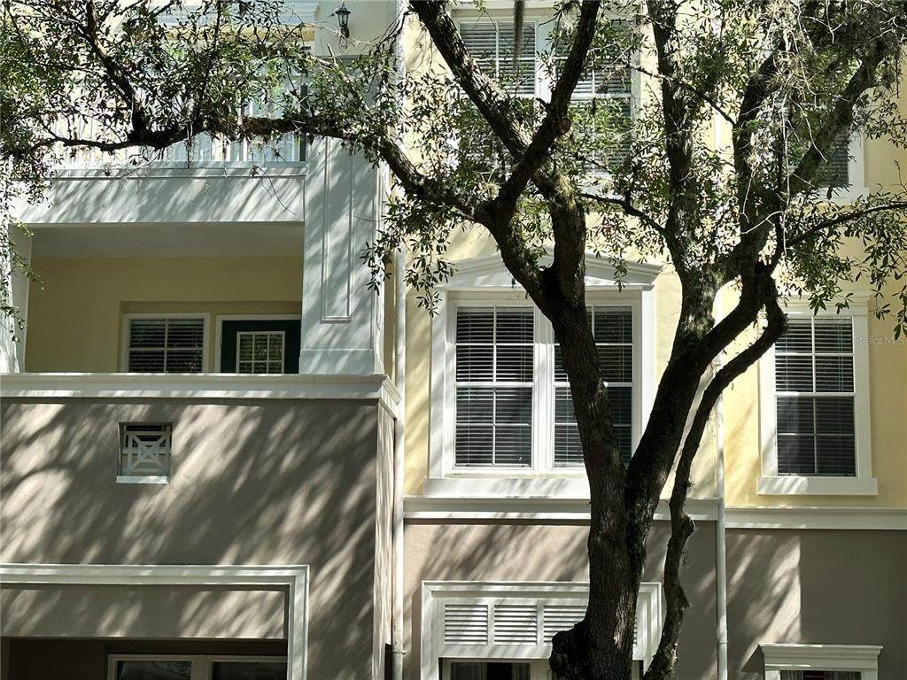 729 Celebration Avenue - Photo 1
