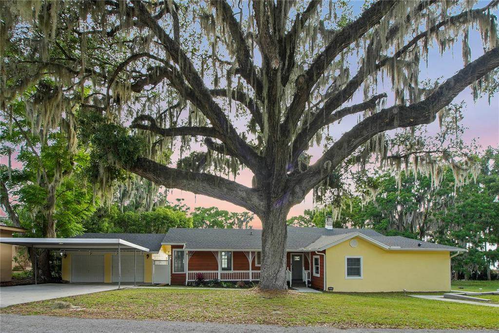 30437 Orange Drive - Photo 1