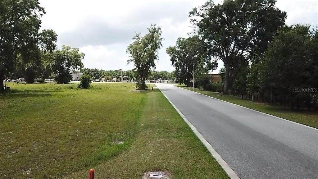 1020 Duck Box Road - Photo 1