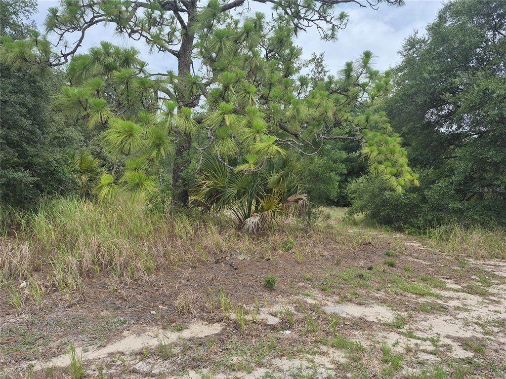 1626 Us 301 - Photo 1