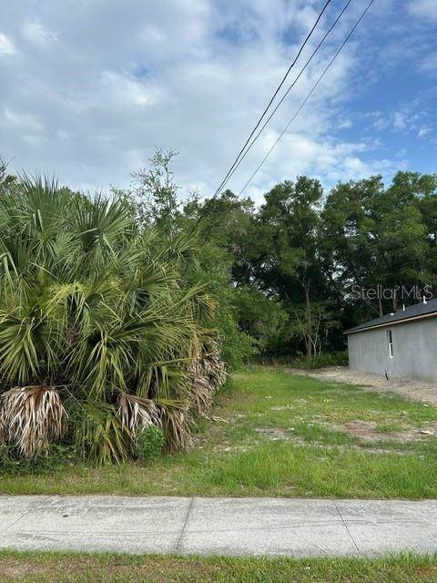  Palmetto Street - Photo 1
