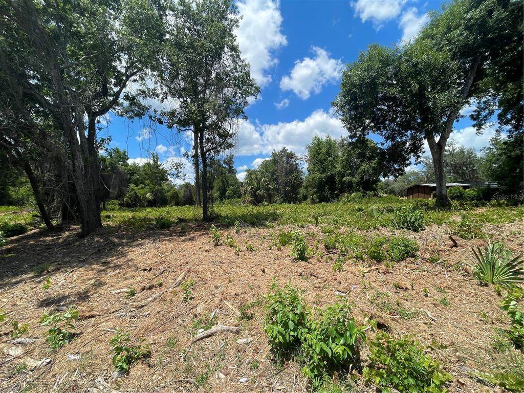  County Road 42 - Photo 1