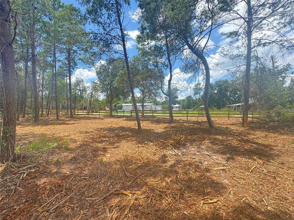  Pine Street - Photo 1