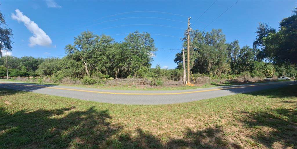 41739 Thomas Boat Landing Road - Photo 1