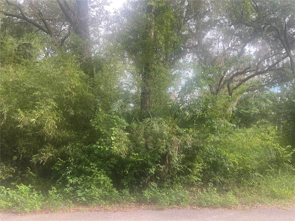  32ND Street - Photo 1