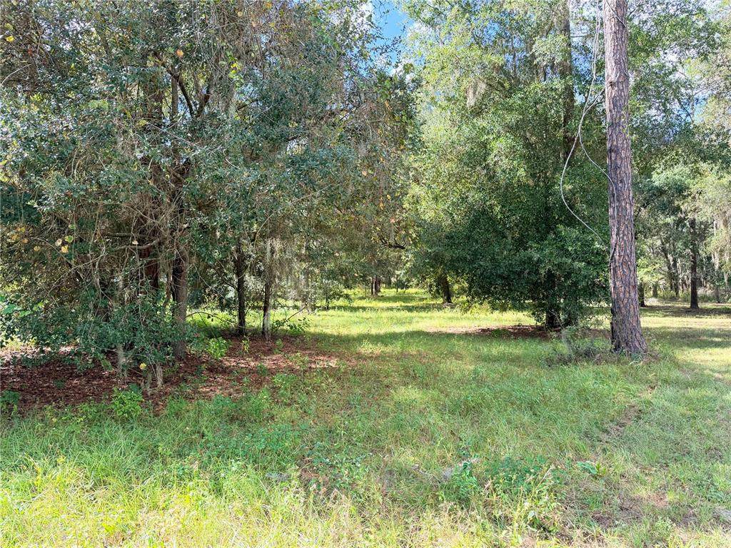  Bonsmara Drive - Photo 1