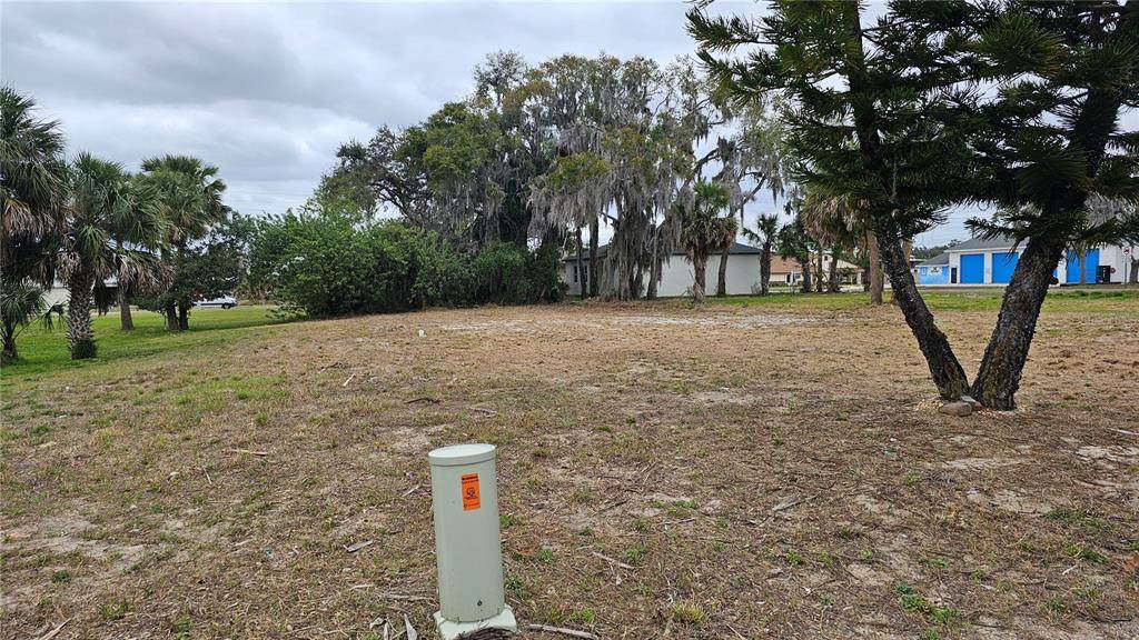 209 Badger Avenue - Photo 1