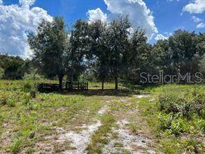  Laurel Oak Avenue - Photo 1