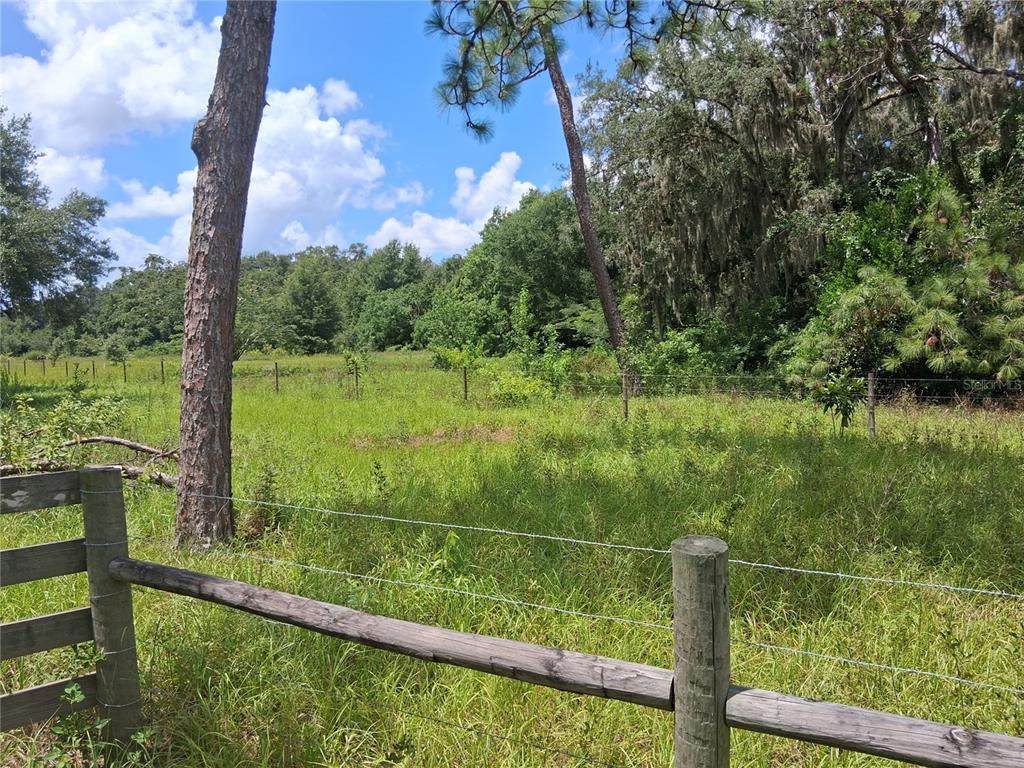 409 County Road 542E - Photo 1