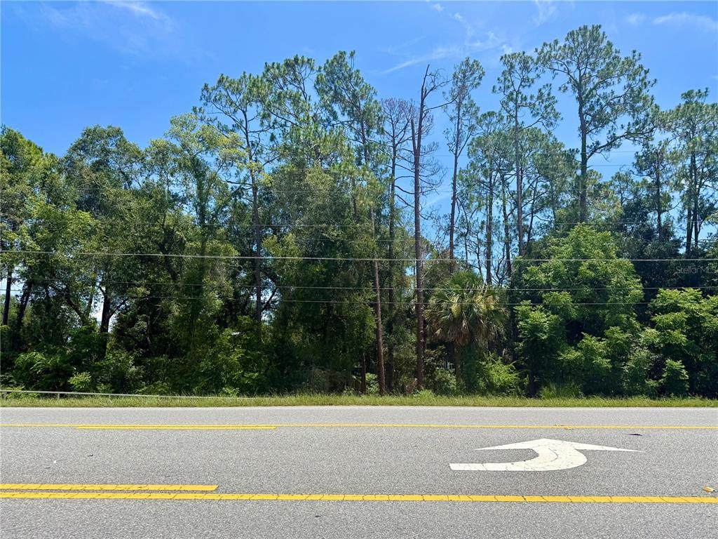 LOT 13 State Road 44 - Photo 1