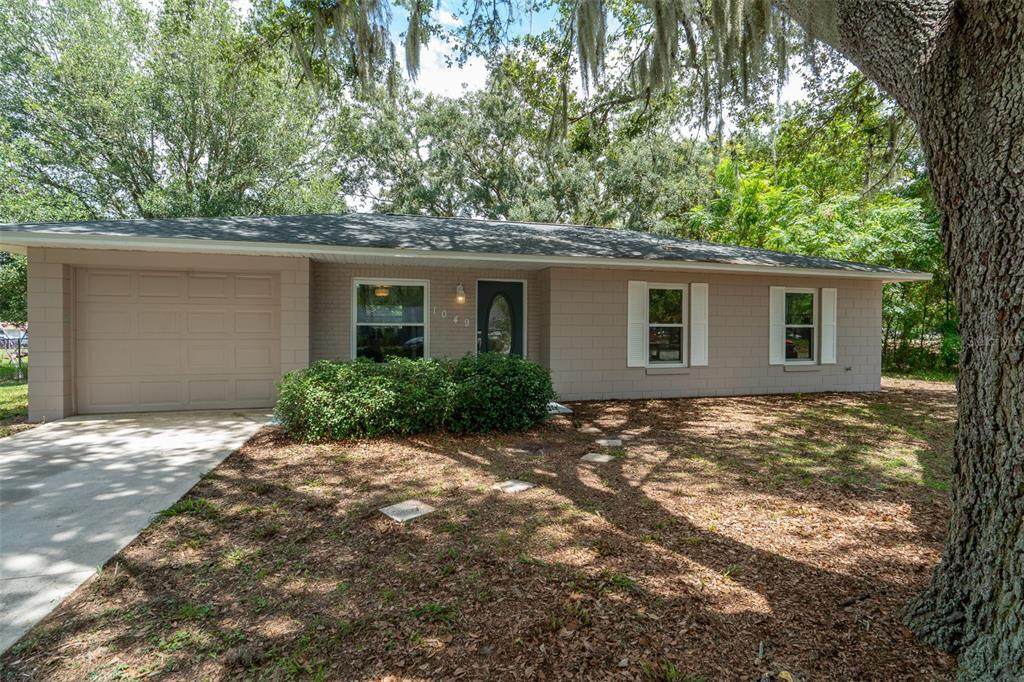 1049 Birch Boulevard - Photo 1