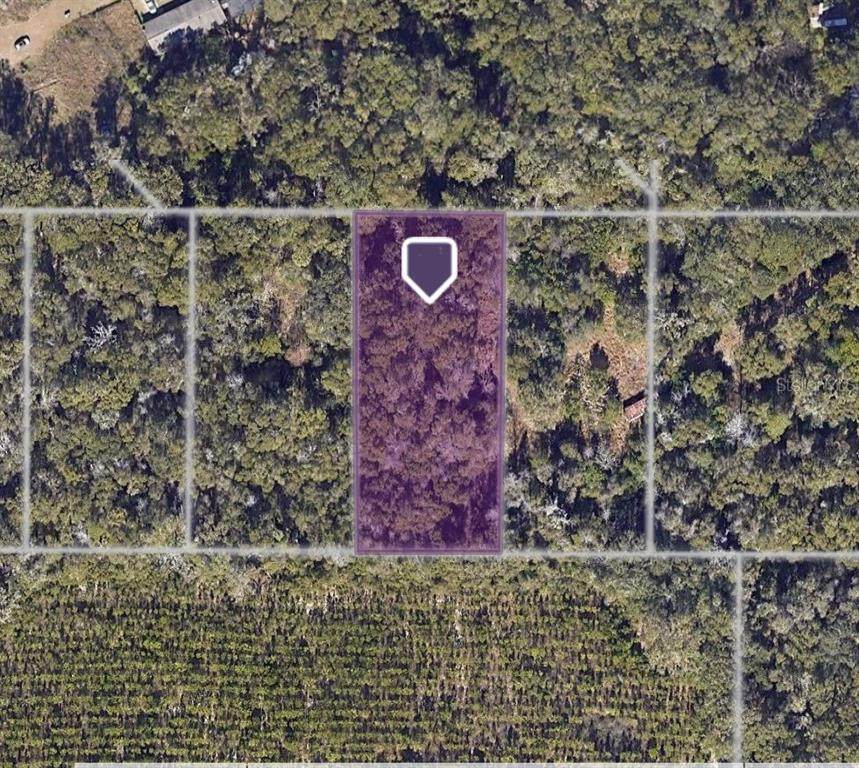 6502 73RD Avenue - Photo 1