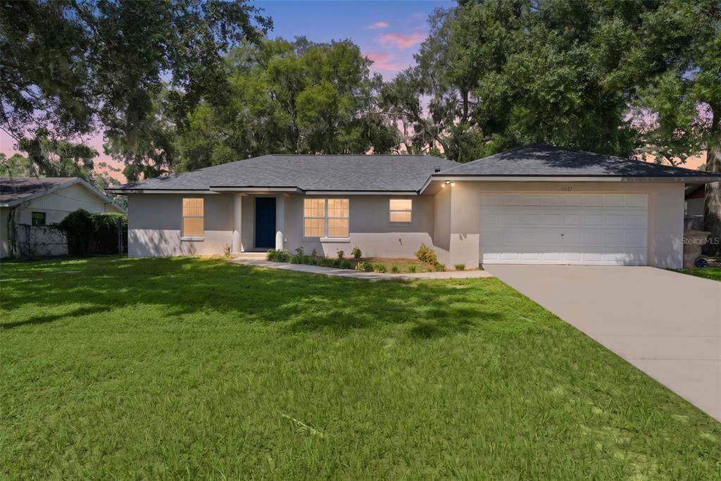 36127 Pine Tree Street - Photo 1
