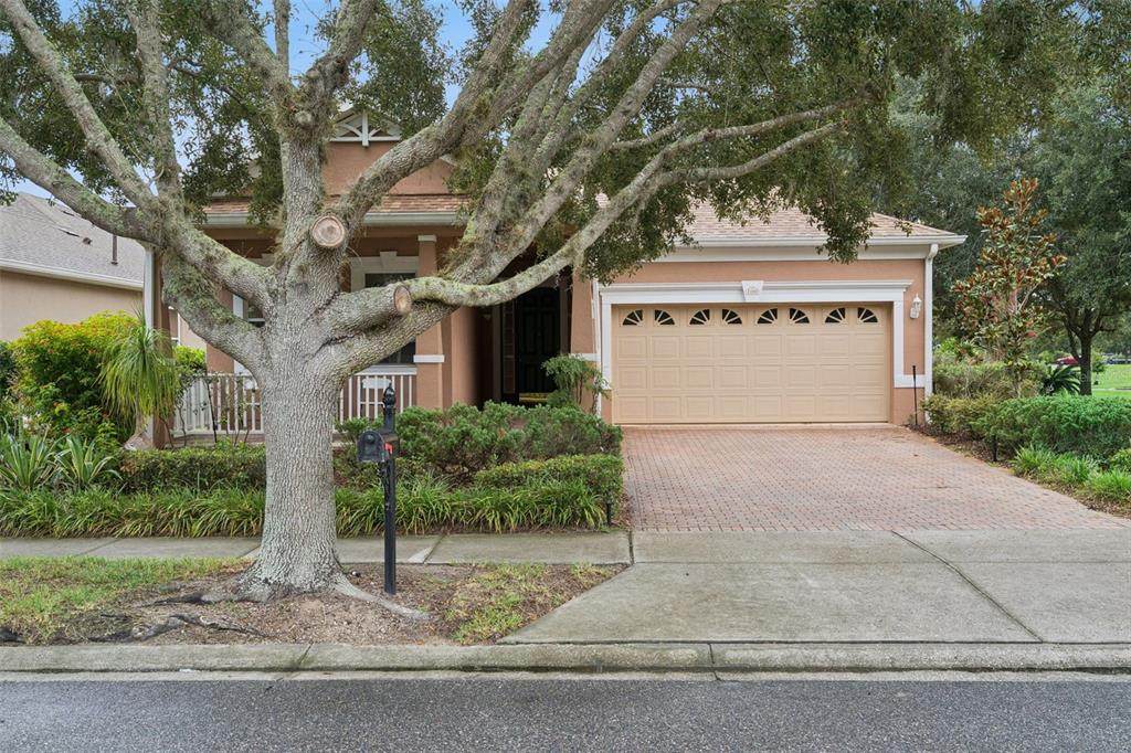100 Flame Vine Way - Photo 1