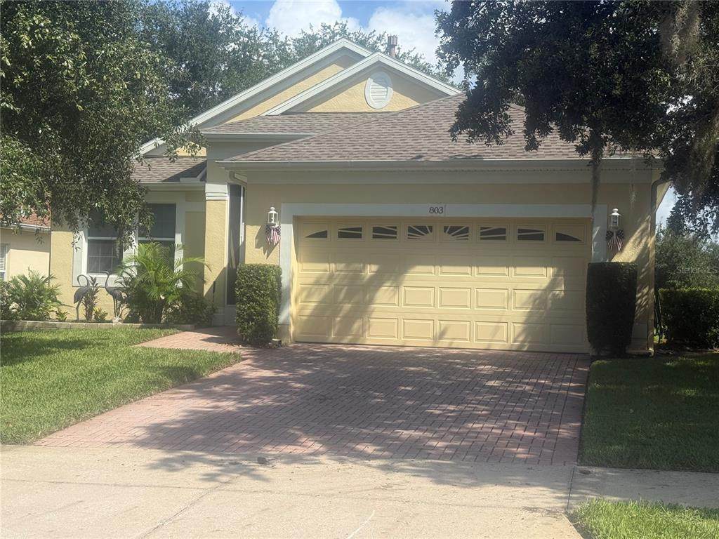803 Wolf Creek Street - Photo 1
