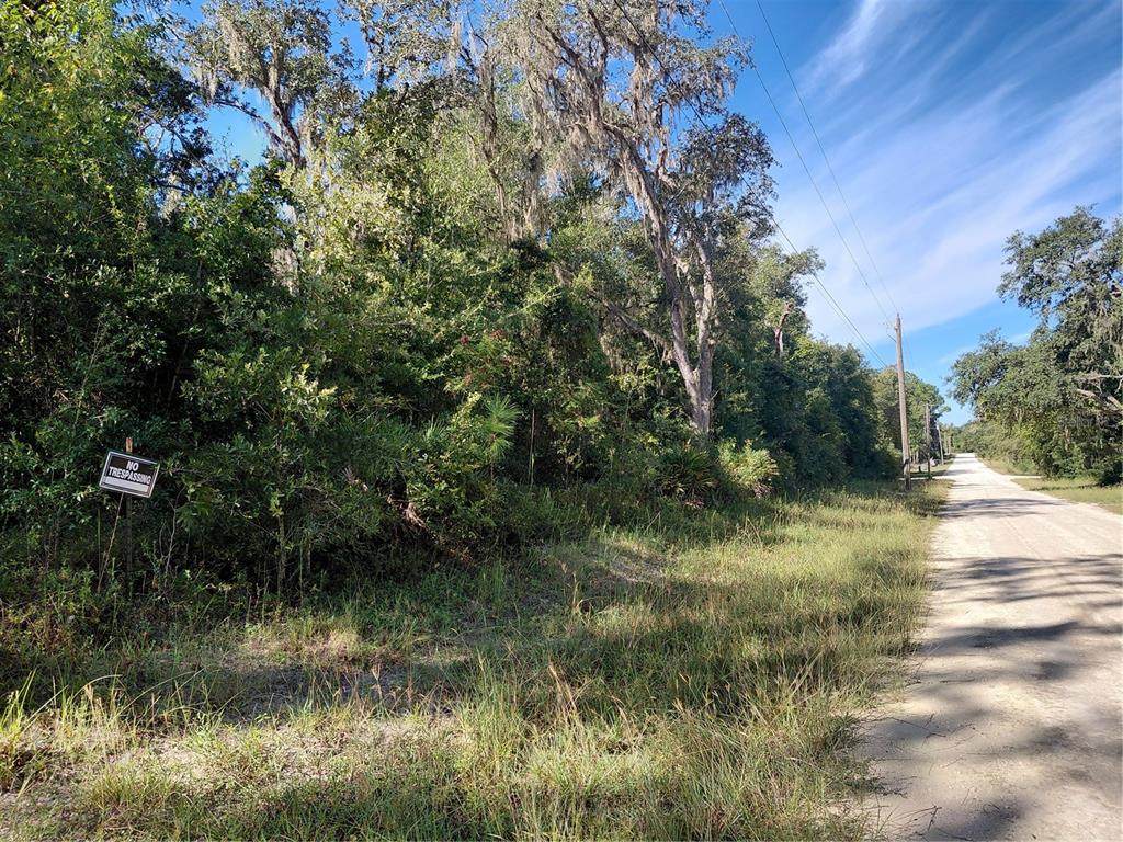  Butternut Drive - Photo 1