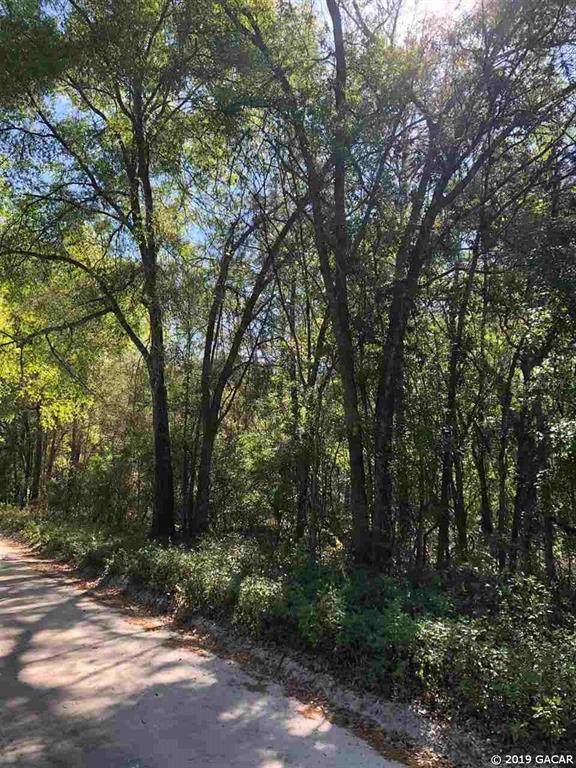 00 Gold Dust Road - Photo 1