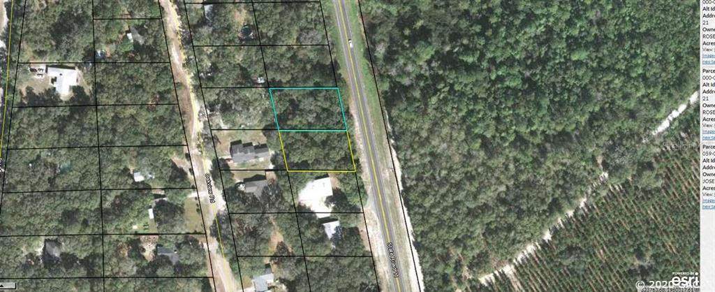 8778 8782 State Road 21 - Photo 1