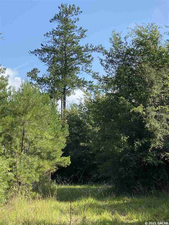 TBD "C" County Road 249 - Photo 1