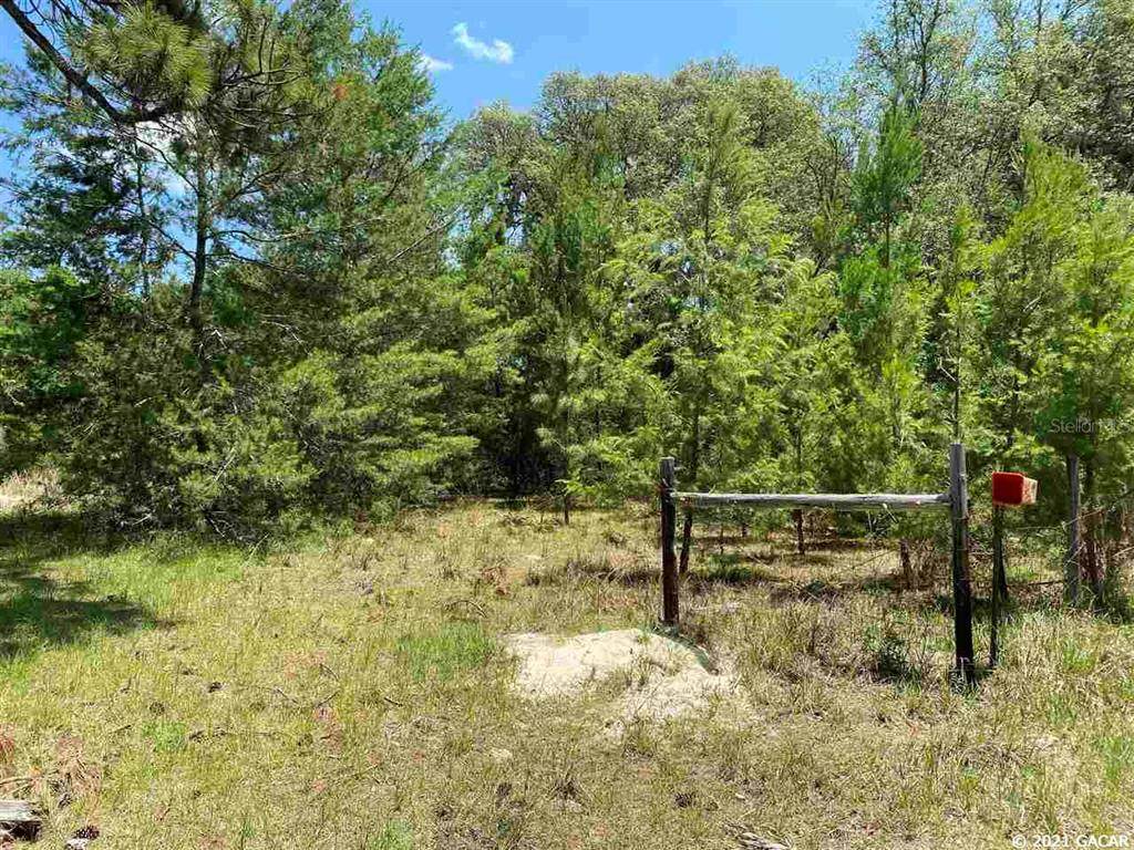 13385 228th Lane - Photo 1