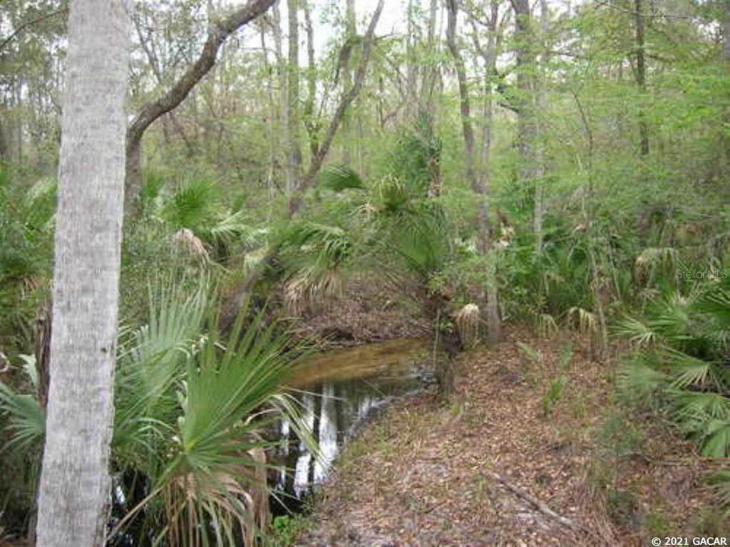 TBD Little Orange Creek Road - Photo 1